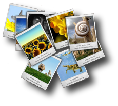 Fotografias