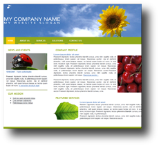 Web Corporativa
